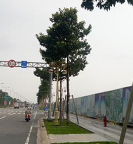 Vụ chuyển nhượng 43 ha đất thực hiện Dự án Tân Phú: Ai là nạn nhân, ai thủ phạm?