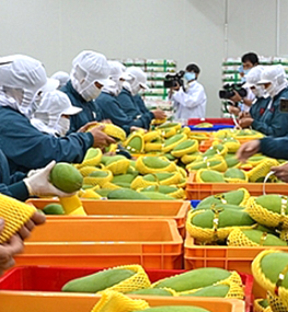 Việt Nam đứng top 15 xuất khẩu nông sản lớn trên thế giới