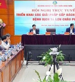 Thủ tướng: Chống dịch tả lợn, các Chủ tịch phải 