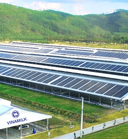 Vinamilk tiếp tục trồng cây hướng đến mục tiêu Net Zero 2050