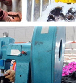 Cắt giảm được hơn 60% điều kiện kinh doanh không cần thiết