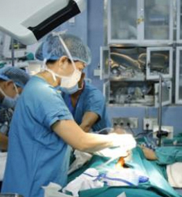 Hàng loạt kỷ lục mới trong lĩnh vực ghép tạng ở Việt Nam