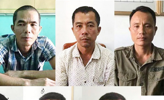 Quảng Bình: Bắt tạm giam 7 đối tượng trong vụ phá rừng ở Phong Nha - Kẻ Bàng