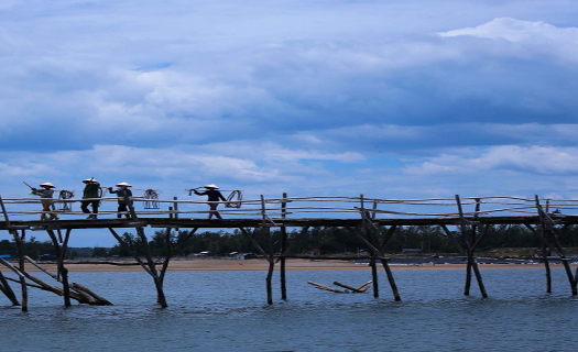 Cầu gỗ độc đáo và dài nhất Việt Nam