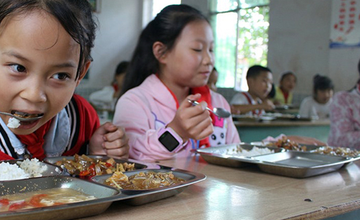 Bộ Giáo dục và Đào tạo đề nghị tăng cường an toàn thực phẩm trường học