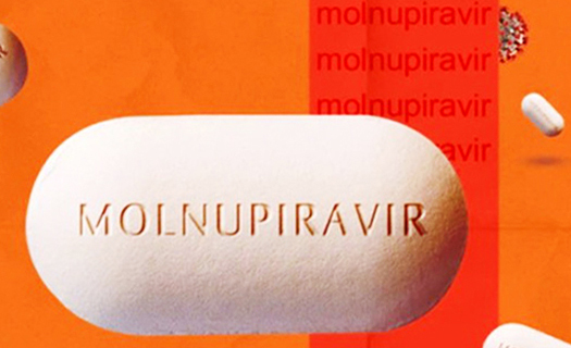 Thí điểm điều trị thuốc molnupiravir cho bệnh nhân Covid-19 thể nhẹ