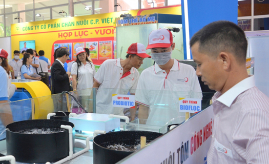 Xuất khẩu tôm Việt Nam đặt mục tiêu đạt 4 tỷ USD năm 2021