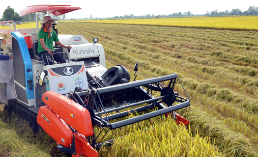Tận dụng cơ hội cho xuất khẩu gạo của Việt Nam