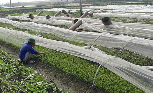 Vĩnh Phúc thu hút đầu tư vào nông nghiệp, nông thôn: 