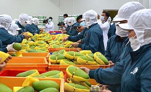 Việt Nam đứng top 15 xuất khẩu nông sản lớn trên thế giới