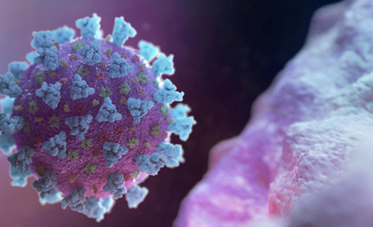 Mỹ tuyên bố sẽ điều tra nguồn gốc virus SARS CoV-2
