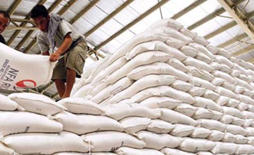 Cấp hơn 105 nghìn tấn gạo dự trữ quốc gia hỗ trợ các tỉnh
