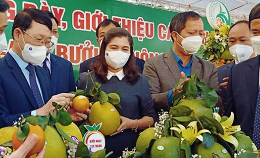 Bắc Giang: Ứng dụng công nghệ xúc tiến tiêu thụ nông sản