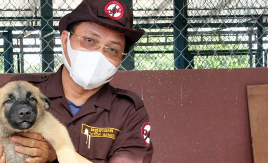 Campuchia thử nghiệm huấn luyện chó tìm kiếm người bị Covid-19