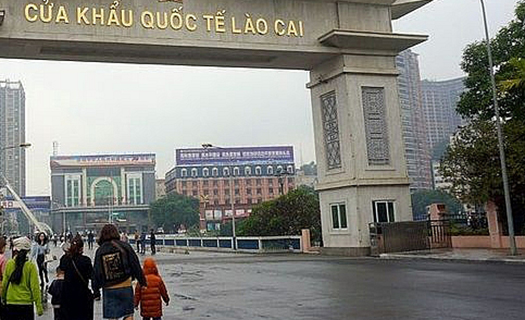 Tạm dừng xuất khẩu 3.000 tấn thanh long qua cửa khẩu Lào Cai